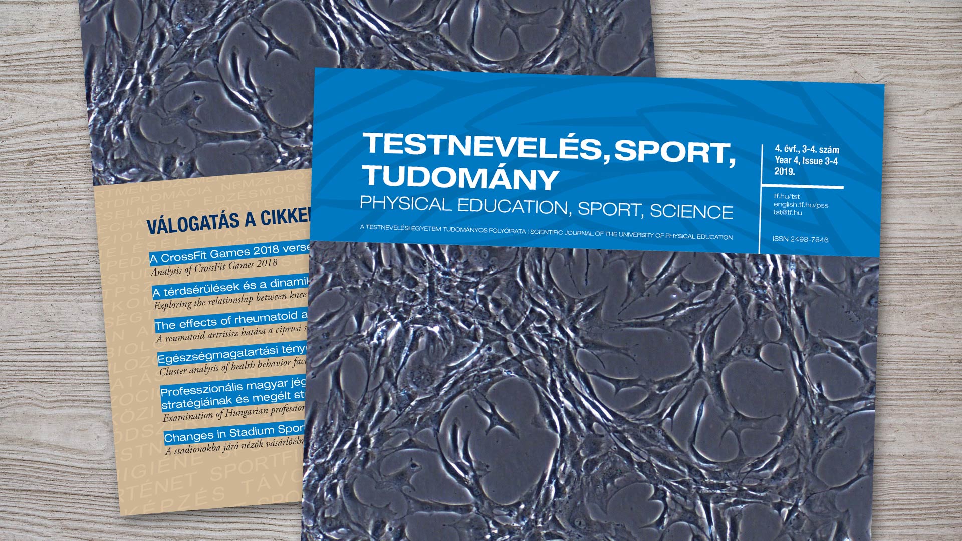 Megjelent a Testnevelés Sport Tudomány legújabb száma