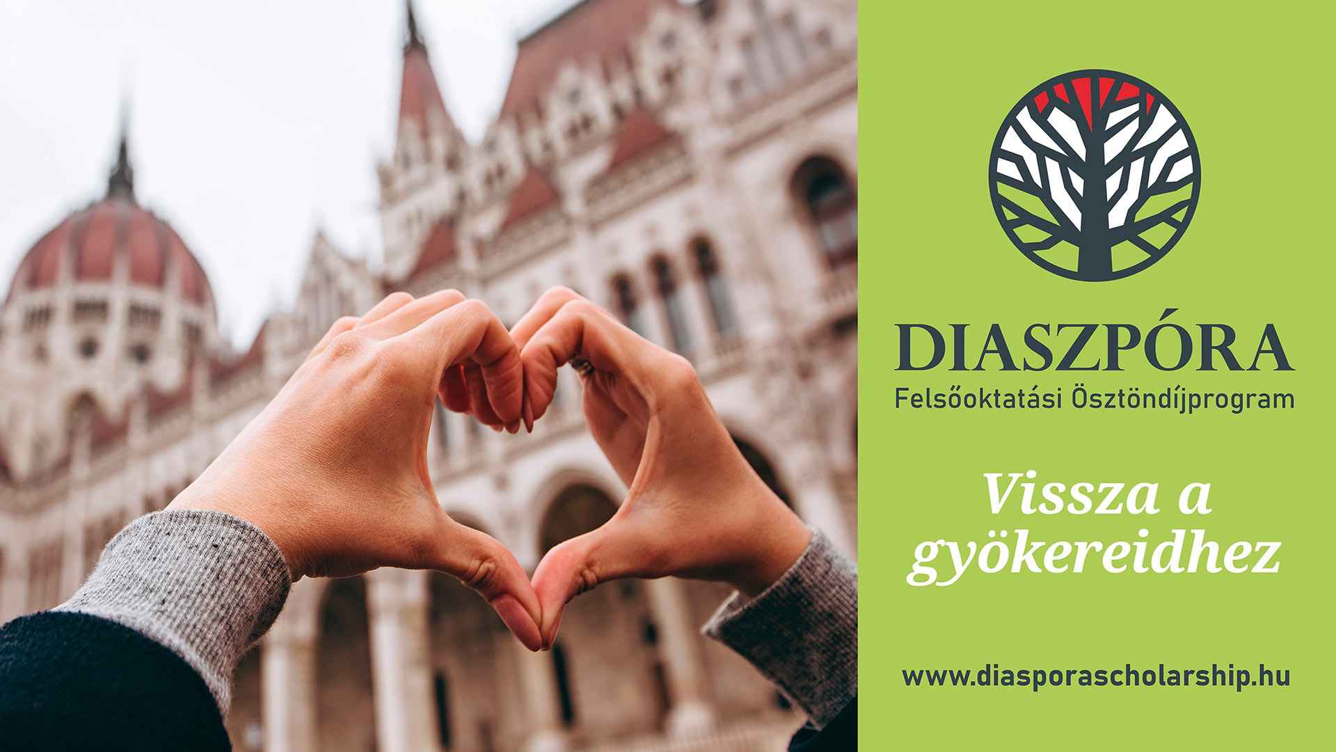 Online application for the Hungarian Diaspora Scholarship Programme opens
