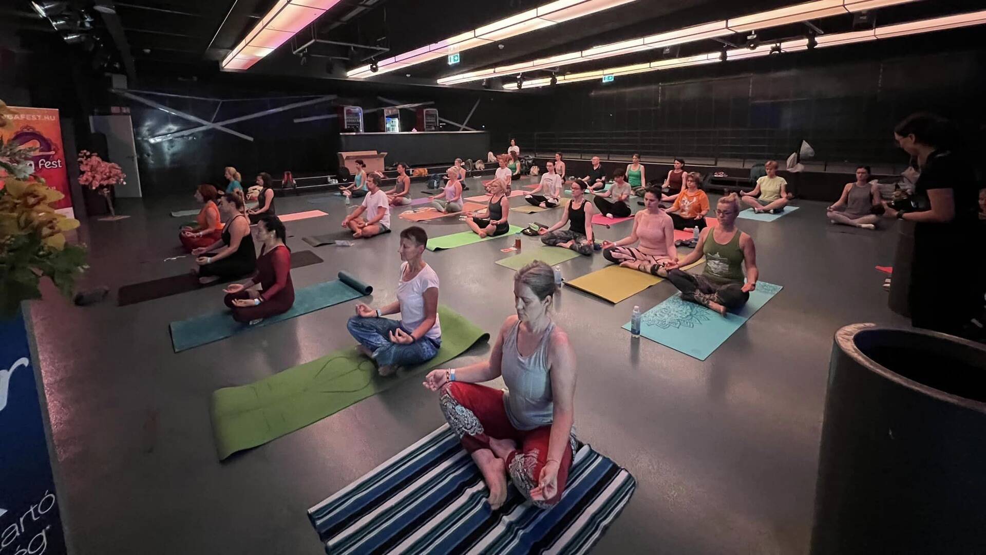 A TF is bemutatkozott a Yoga Festen 3