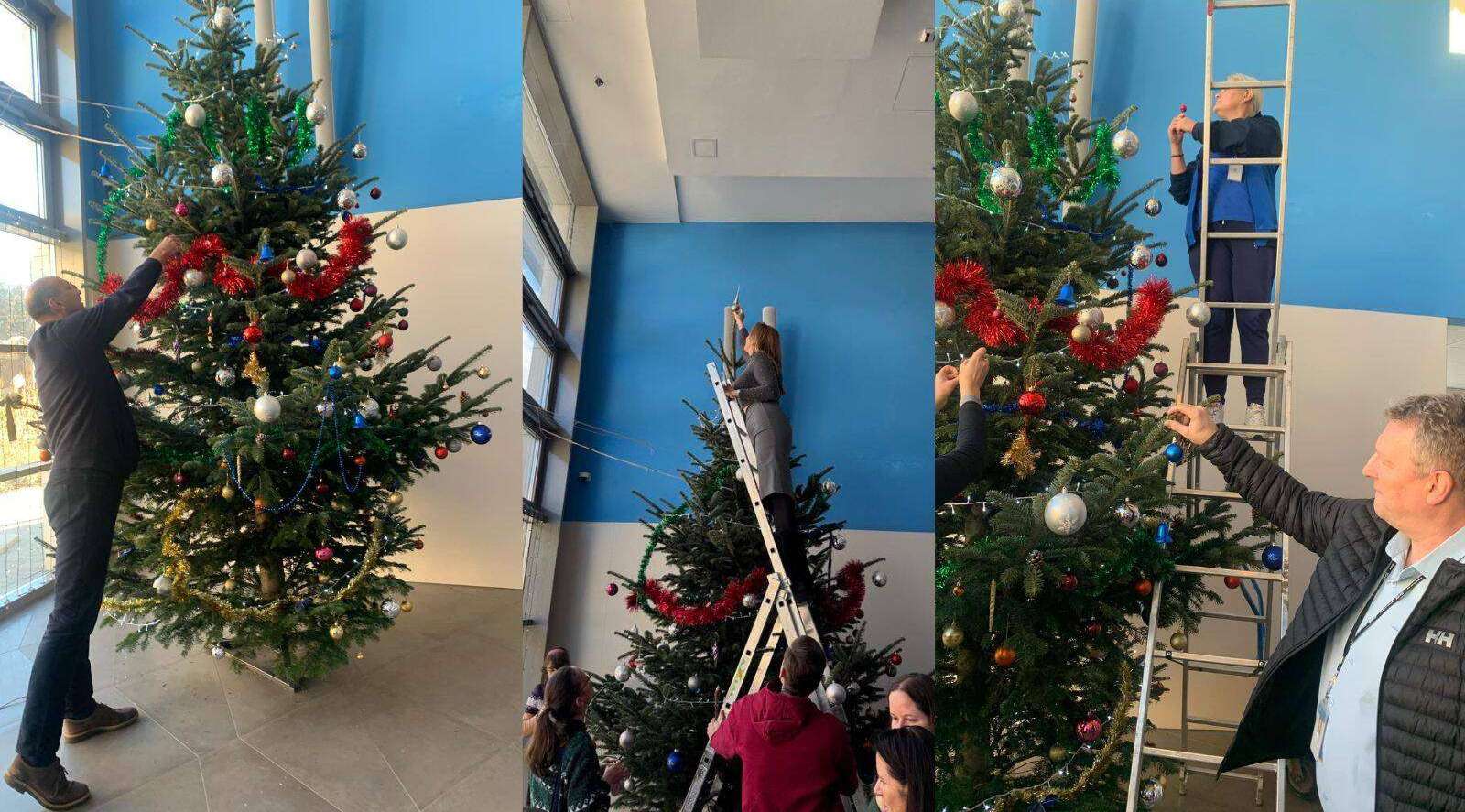 Kozos karacsonyfa diszites az Advent jegyeben 3