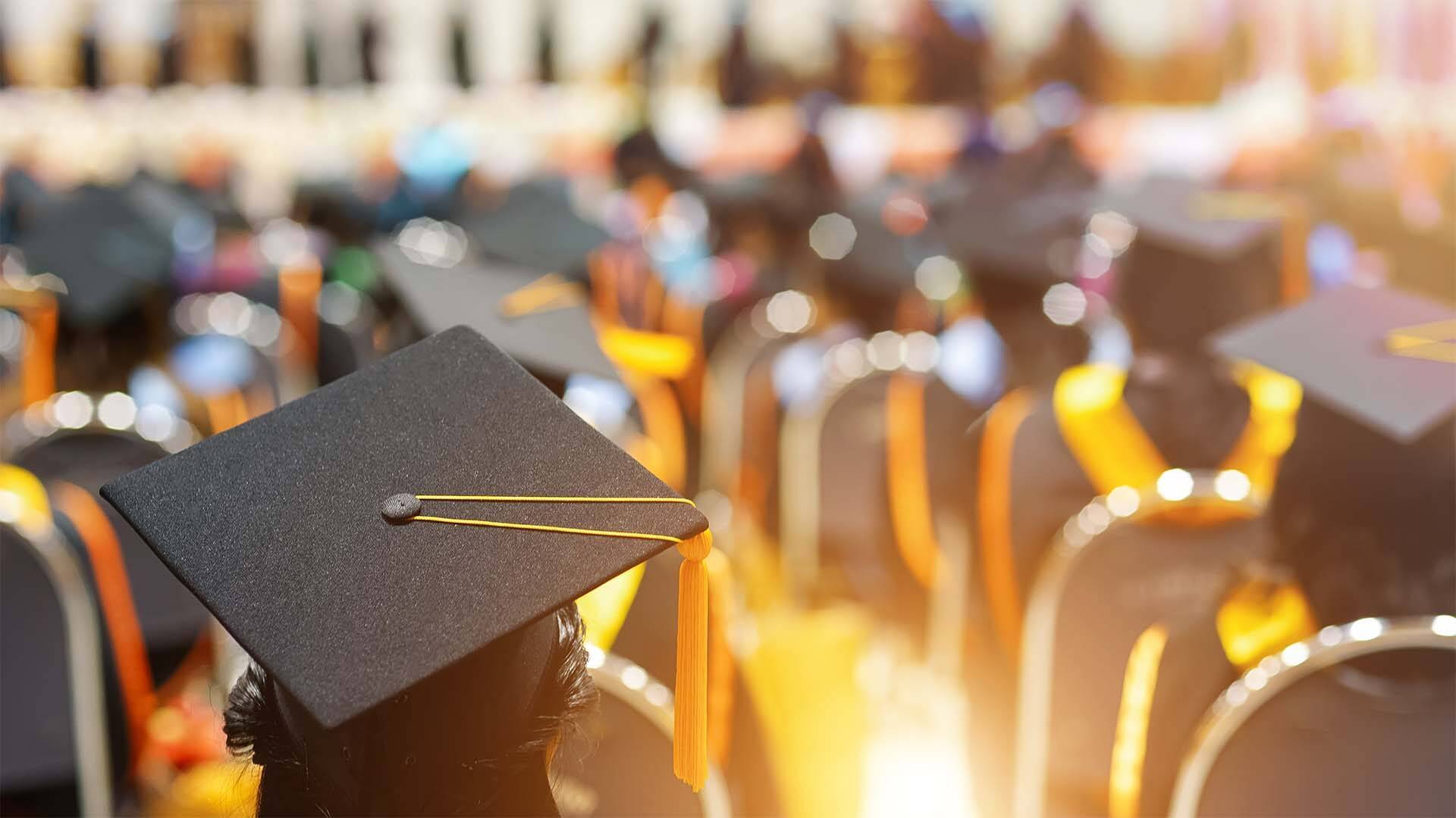 Nemzeti Felsőoktatási Ösztöndíj 2025