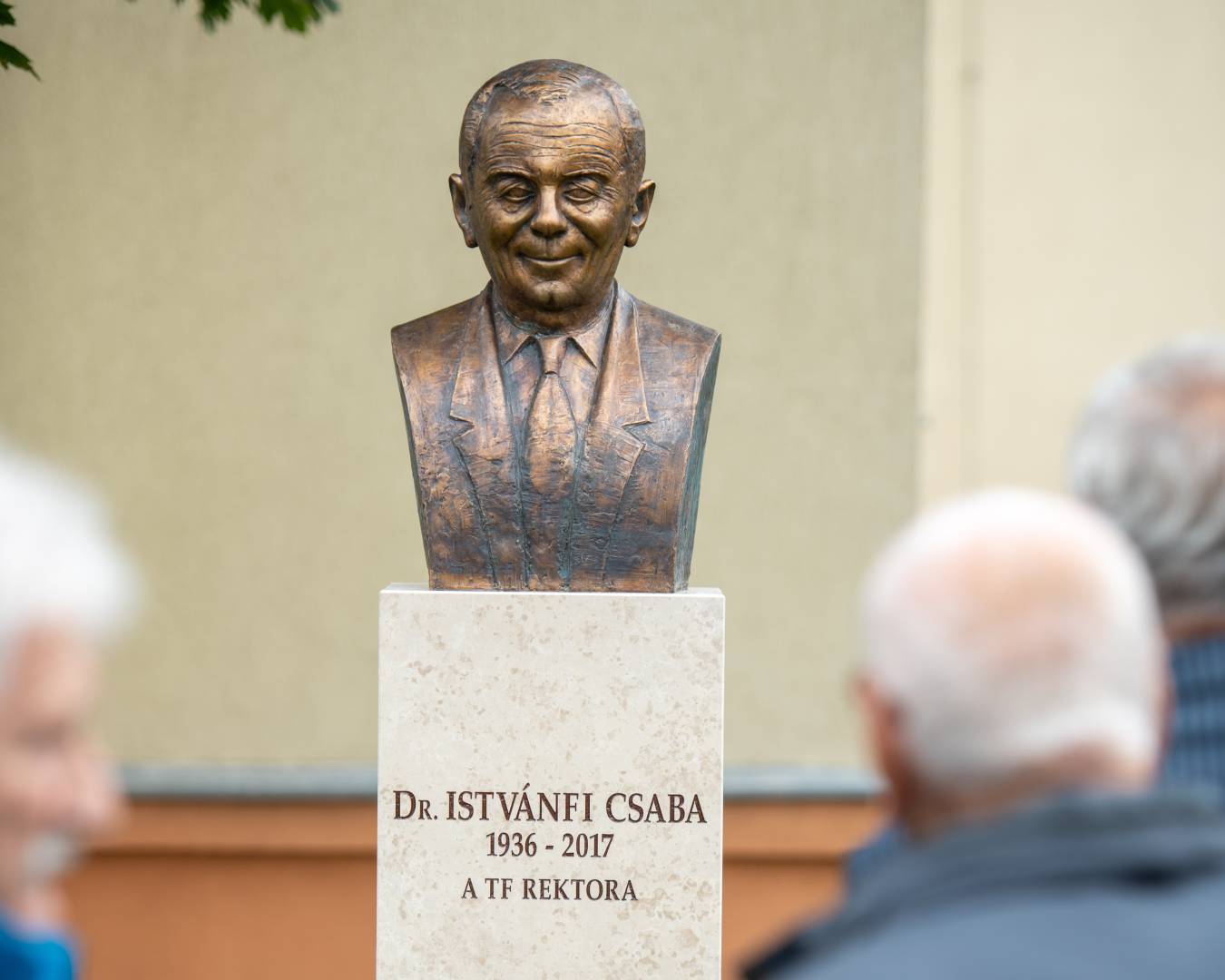 Istvanfi 3