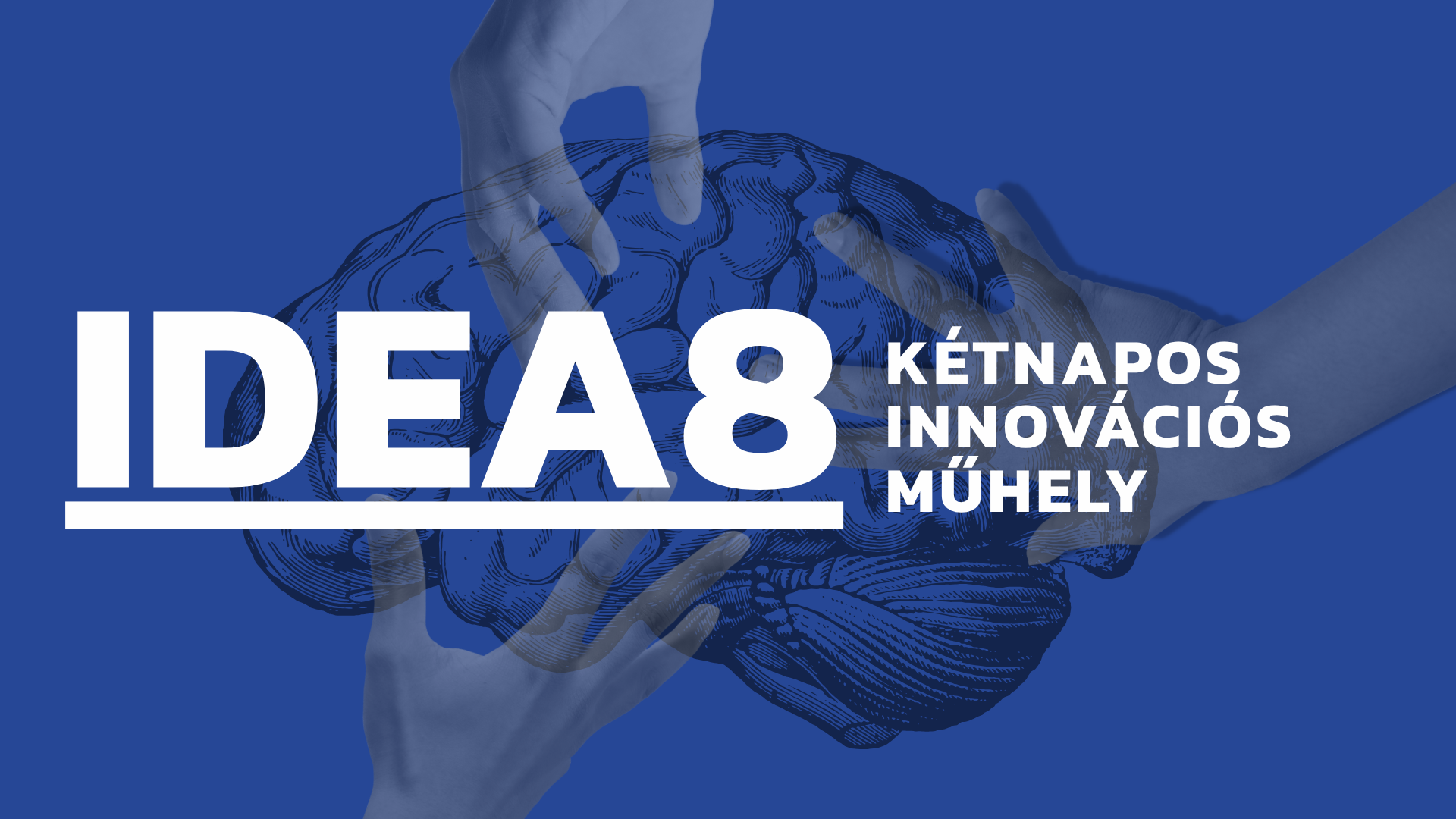 Legyen az ötletből megoldás – kétnapos innovációs műhely a TF-en a Zone 8 szervezésében