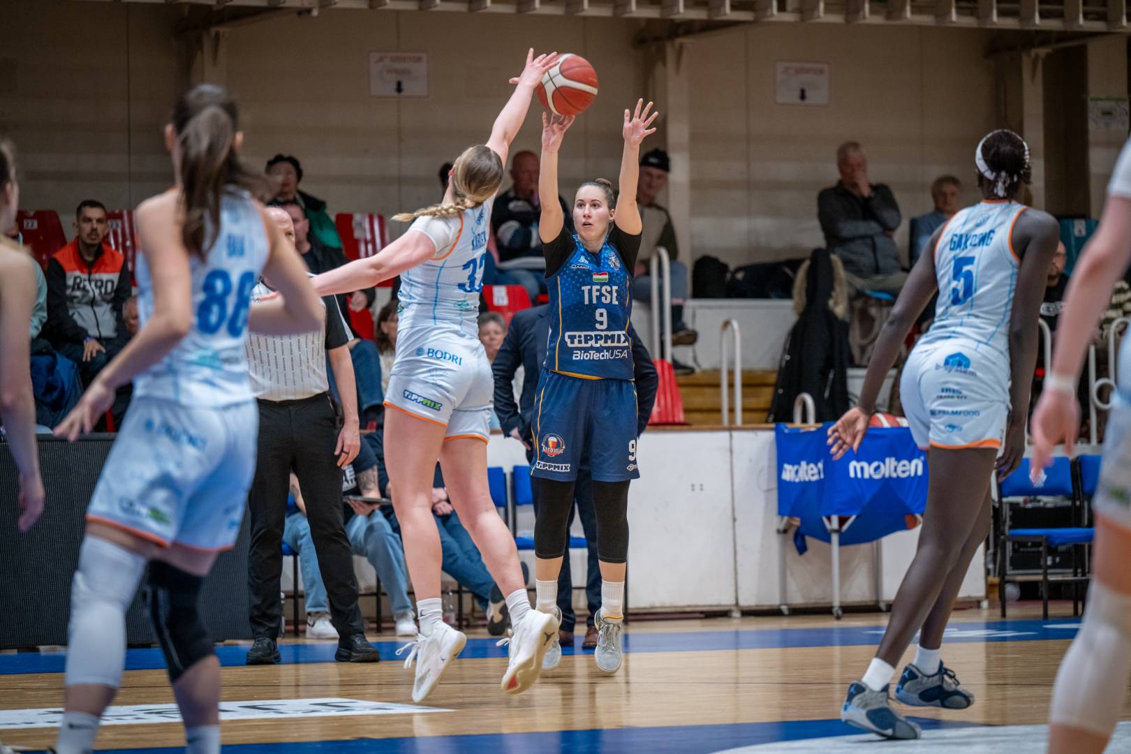 Komoly siker Bajnoki elodontos noi kosarlabdaban a TFSE 2