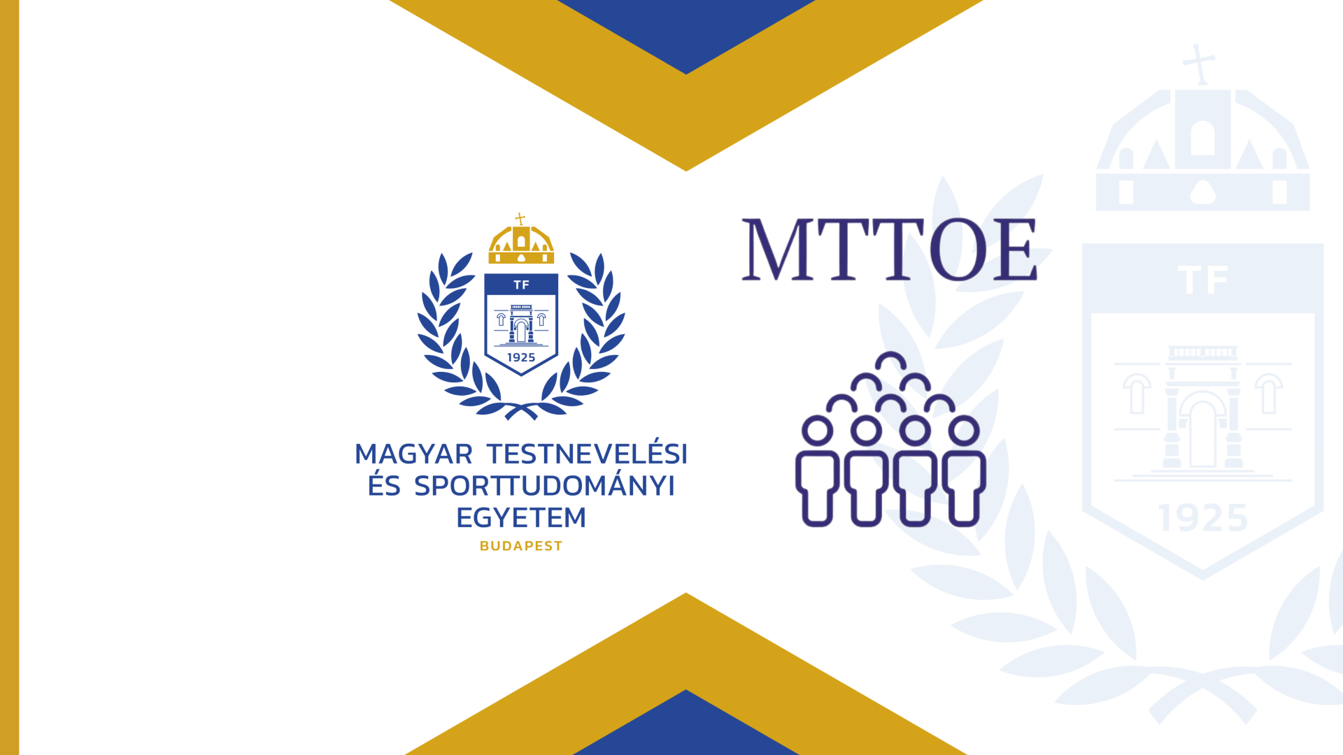 Közös szakmai egyeztető fórumot tart a mindennapos testnevelésről a TF és az MTTOE